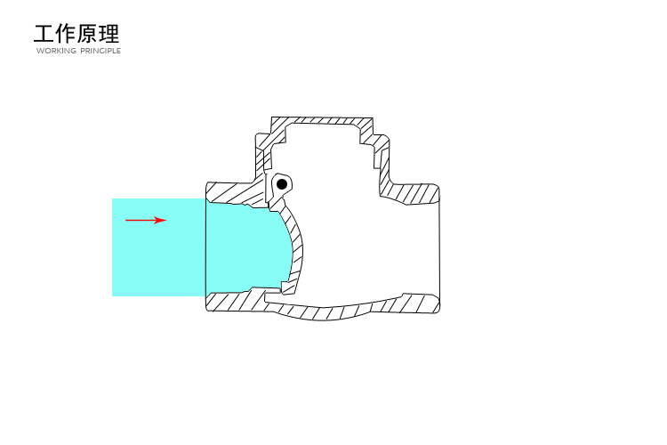 止回閥結(jié)構(gòu)種類 止回閥結(jié)構(gòu)種類